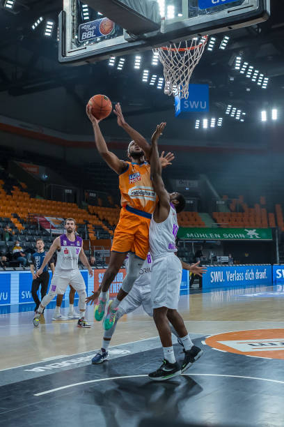 生平罕见 生平罕见